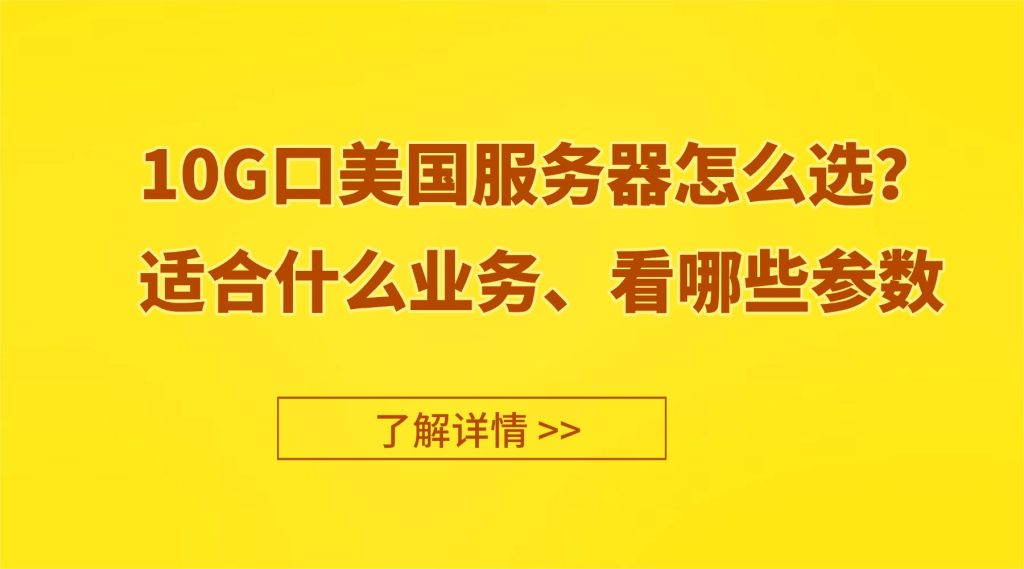10G口美国服务器怎么选